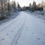 Enligt nya regler ska det vara två eftersöksjägare som arbetar tillsammans med trafikeftersök på större rovdjur i Värmland, både för deras egen säkerhet men även hundarnas. Foto: Olle Olsson