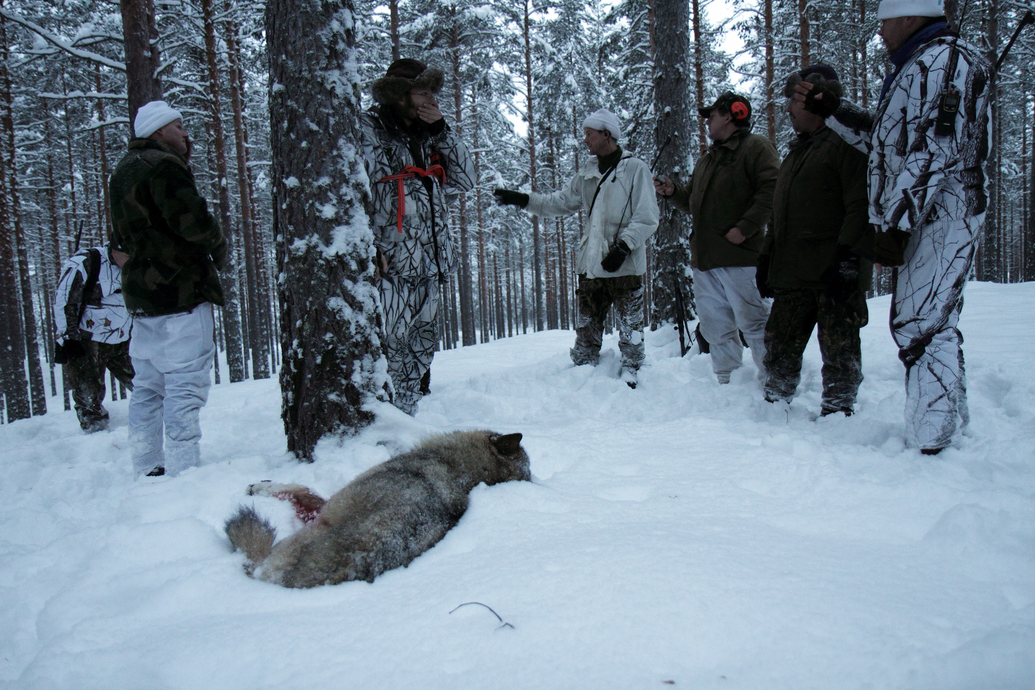 Foto: Olle Olsson