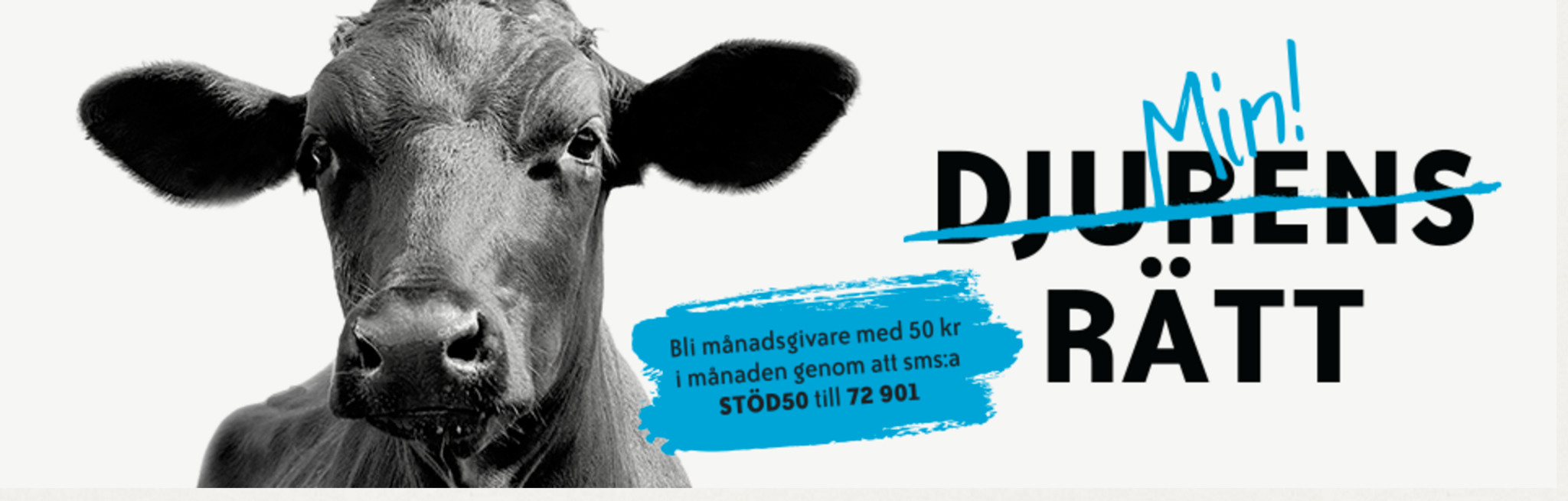 Djurens Rätt har inte klarat Svensk Insamlingskontrolls mål sex av de nio senaste åren. Skärmdump: Djurens Rätt
