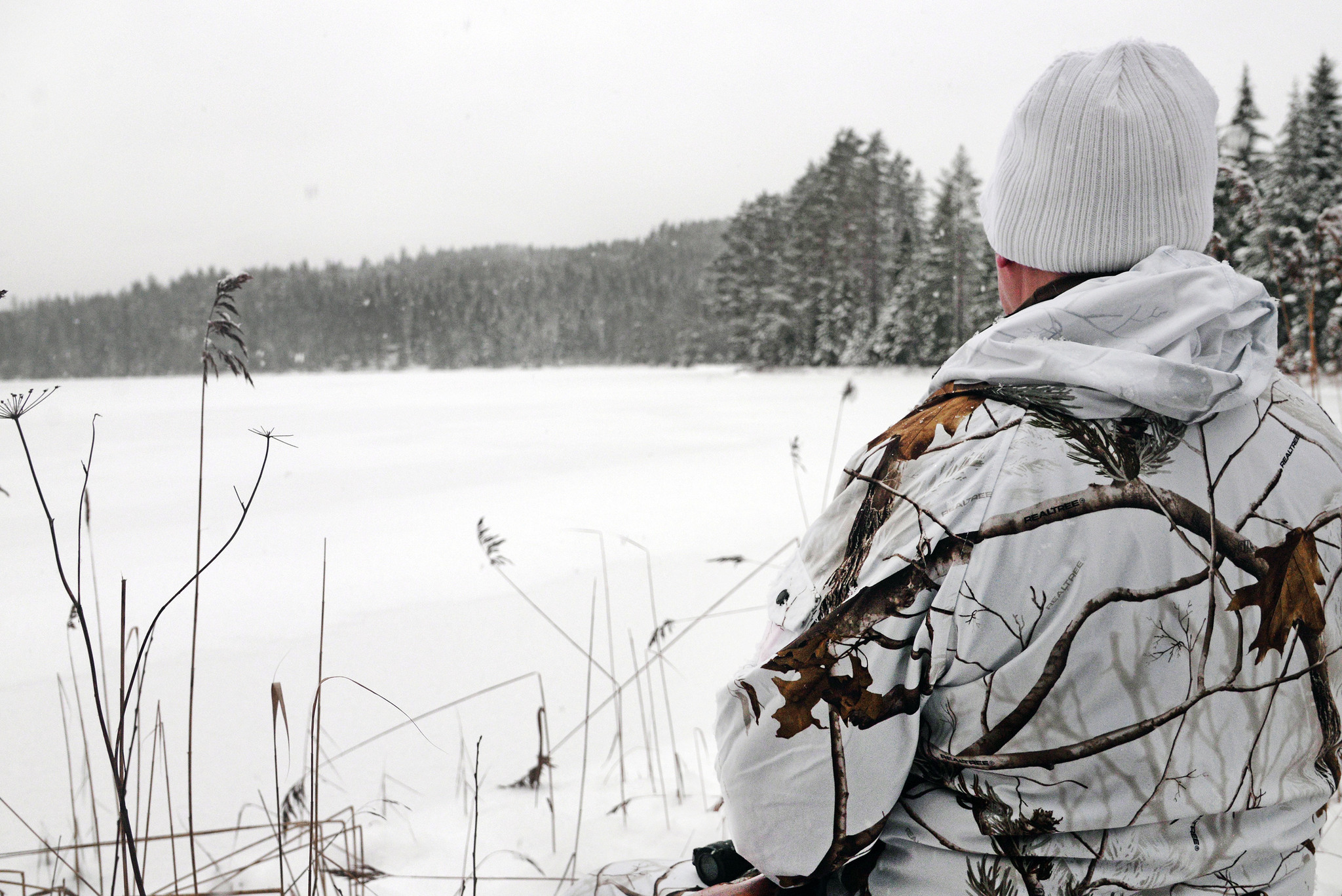 Foto: Lars-Henrik Andersson