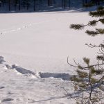 Foto: Olle Olsson