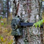 Så kallade åtelkameror är numera en viktig del i länsstyrelsernas inventeringsarbete av stora rovdjur. Foto: Olle Olsson