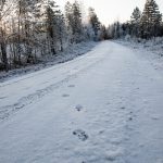 Foto: Olle Olsson