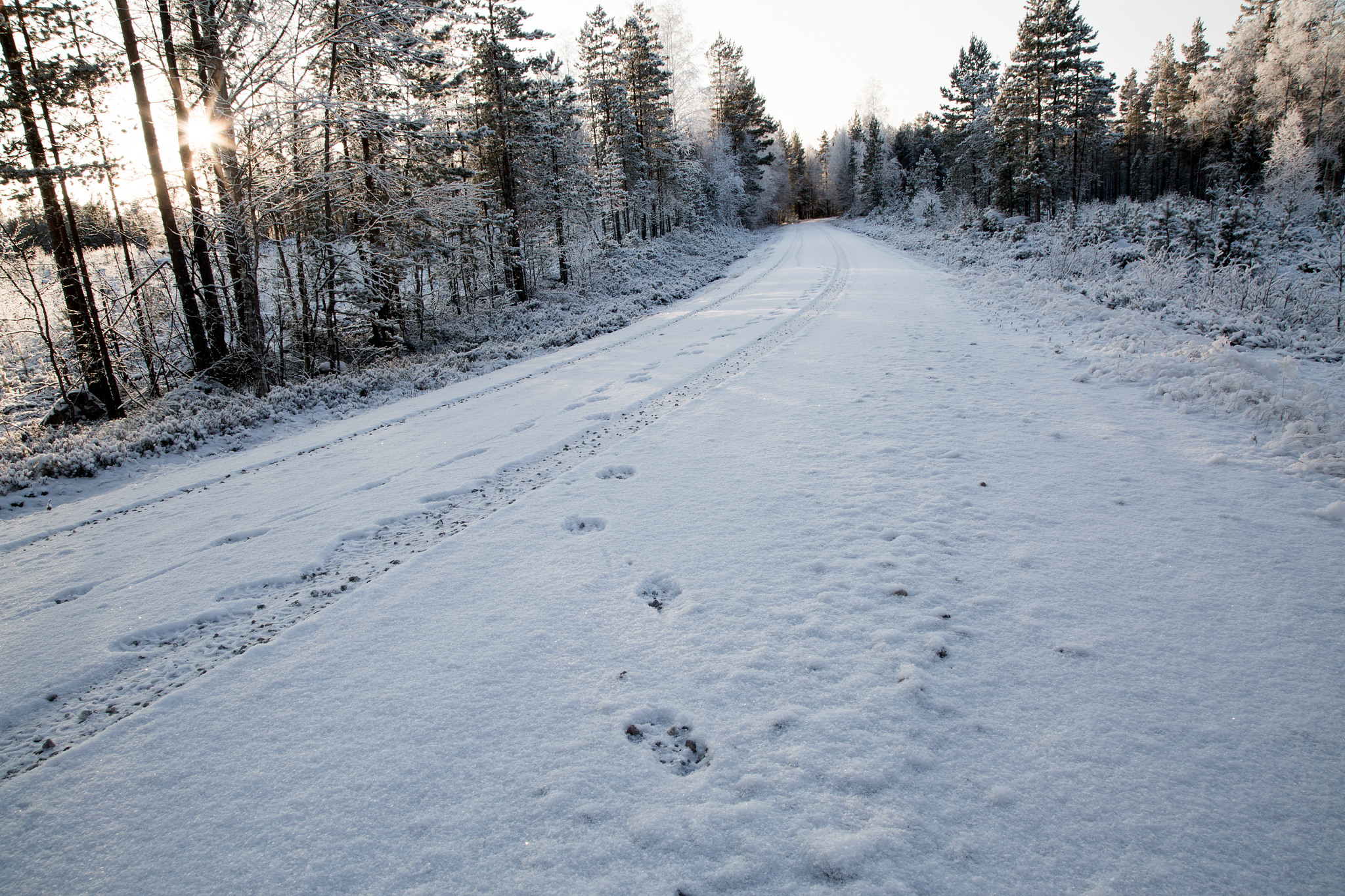 Foto: Olle Olsson