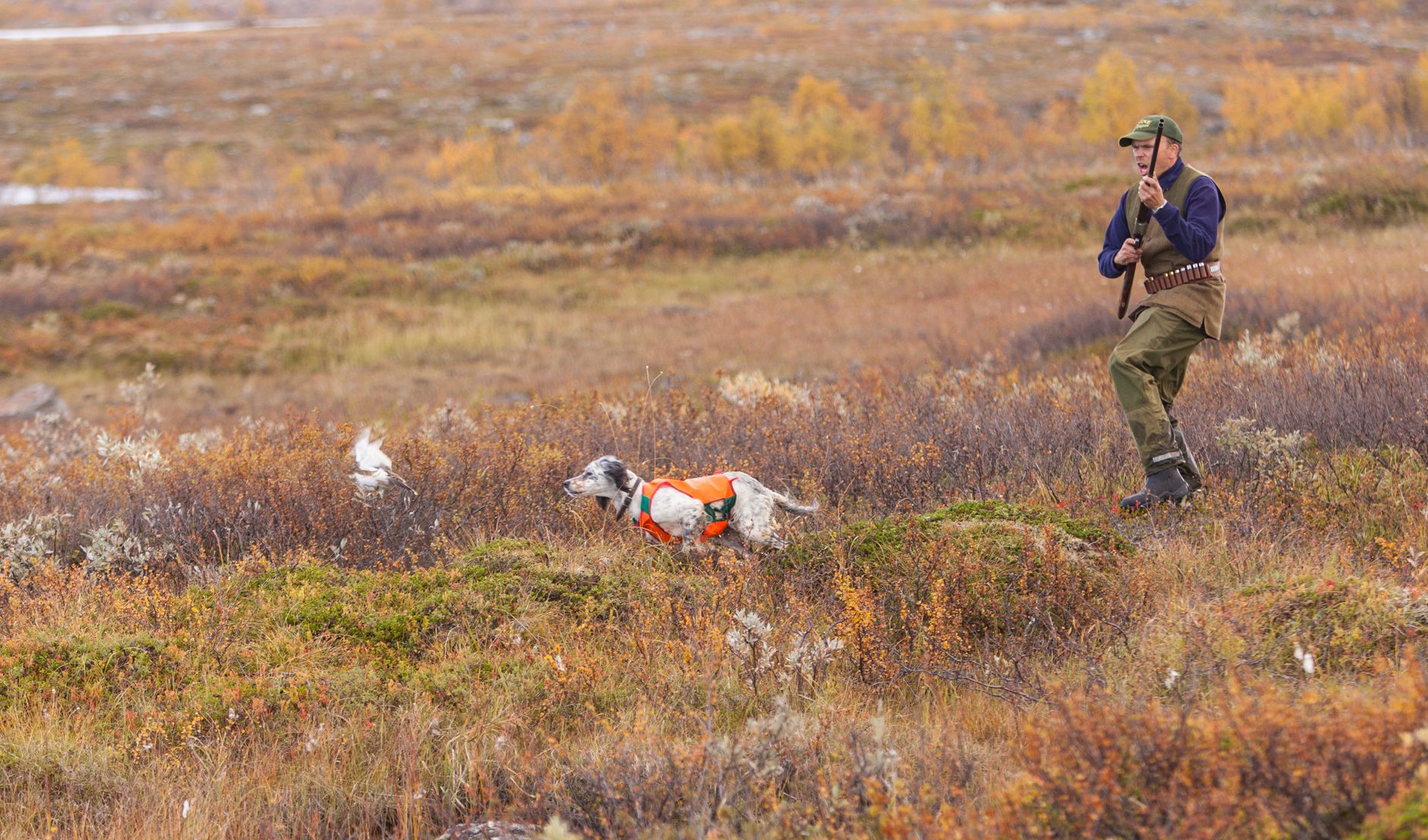 Flera organisationer och föreningar som inte är upptagna på listan över remissinstanser har ändå passat på att tycka till om regeringens fjälljaktsförslag. Foto: Kjell-Erik Moseid
