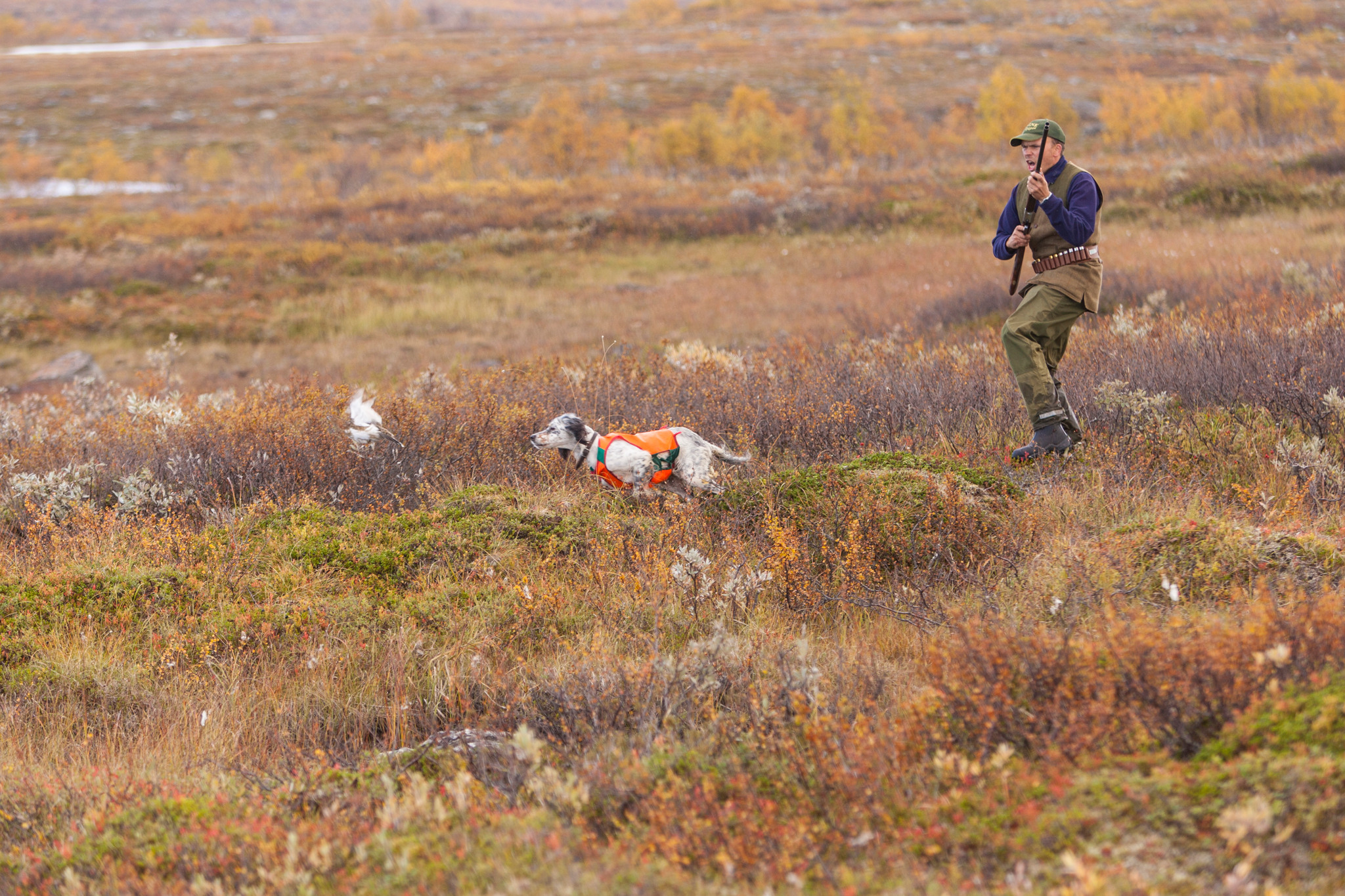 Flera organisationer och föreningar som inte är upptagna på listan över remissinstanser har ändå passat på att tycka till om regeringens fjälljaktsförslag. Foto: Kjell-Erik Moseid