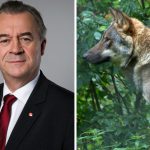 Landsbygdsministern skulle ha svarat på frågor om varg i riksdagen senast 7 mars, men det har skjutits upp till 5 april. Foto: Kristian Pohl/Marie Gadolin