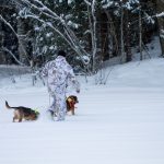 Lodjursjakten kom igång i Jämtland som planerat. Men länsstyrelsens beslut är överklagat. Foto: Olle Olsson