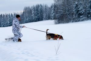Foto: Olle Olsson