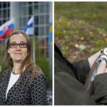 Innan jägaren får licens ska hans kognitiva funktioner testas, om svenska EU-parlamentarikern Bodil Valero (MP) får som hon vill. Dessutom anser hon att vapen ska försäkras liknande en trafikförsäkring på en bil. Foto: Fredrik Hjerling/Jan Henricson