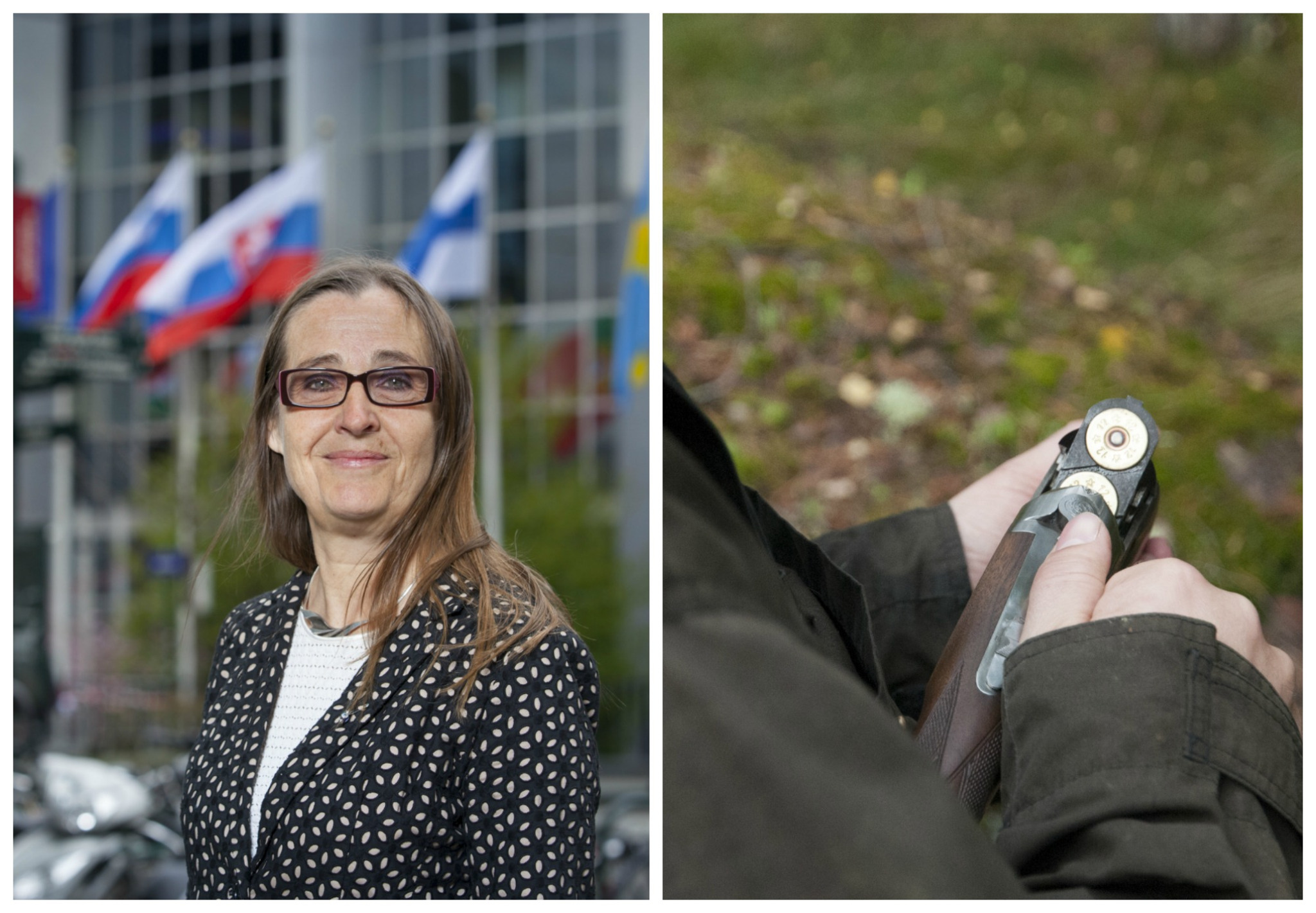 Innan jägaren får licens ska hans kognitiva funktioner testas, om svenska EU-parlamentarikern Bodil Valero (MP) får som hon vill. Dessutom anser hon att vapen ska försäkras liknande en trafikförsäkring på en bil. Foto: Fredrik Hjerling/Jan Henricson