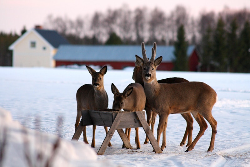 Foto: Andreas Vennberg