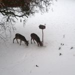 Foto: Privat