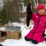 Ung jägarlycka när en mink fångats i en så kallad Ihjäl-fälla. Foto: Olle Olsson
