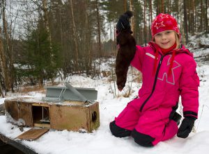 Ung jägarlycka när en mink fångats i en så kallad Ihjäl-fälla. Foto: Olle Olsson
