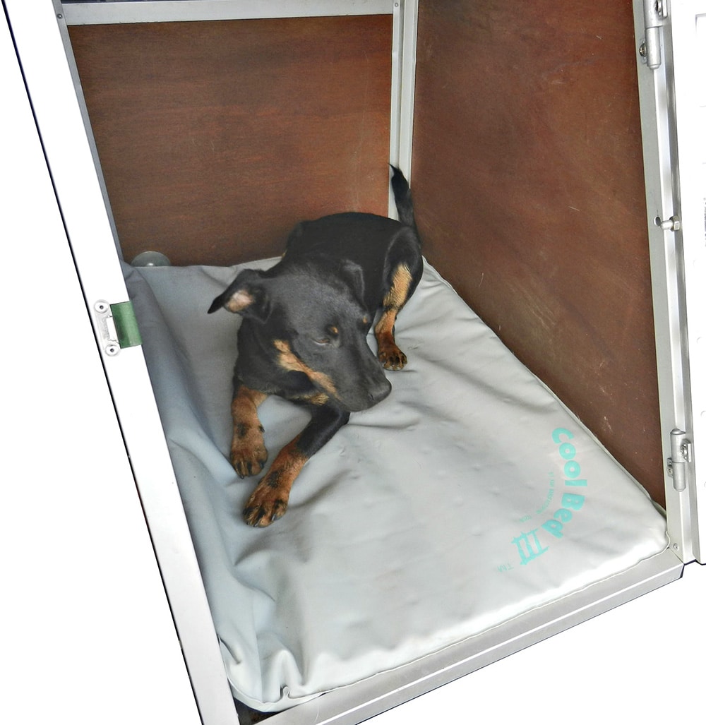 Cool bed III.