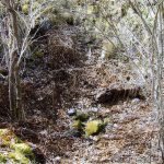 Varggrop i närheten av Gripensnäs i Södermanland. Foto: Privat