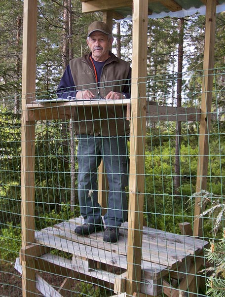 Varje prov bedöms av två domare, som från torn håller koll på hur hundarna beter sig mot björnarna. Här Bengt Eriksson. Foto: Bernt Karlsson