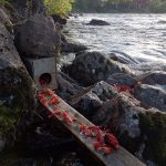 Foto: Olle Olsson