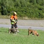Foto: Martin Källberg