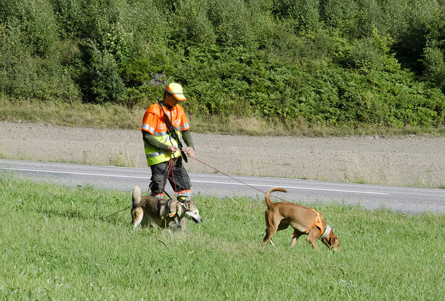 Foto: Martin Källberg