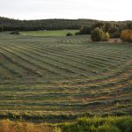 Foto: Olle Olsson