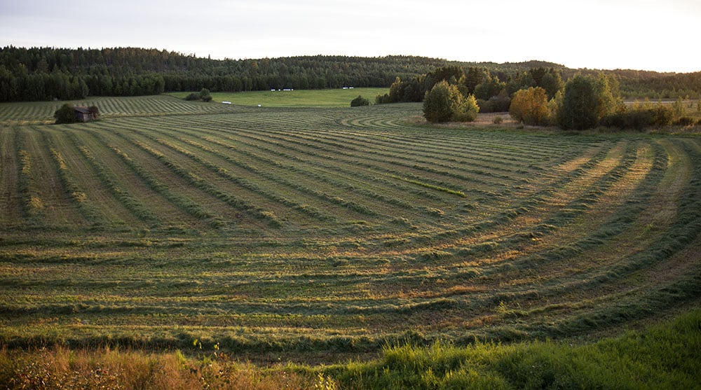 Foto: Olle Olsson