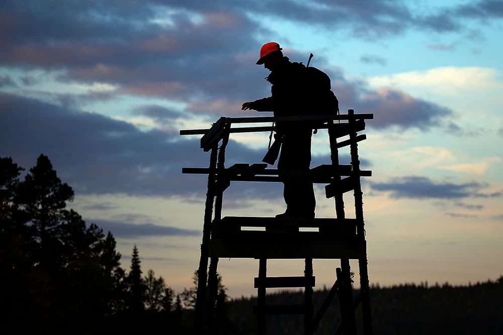 Älgjaktsvecka i Jämtland. Foto: Tobbe Lektell