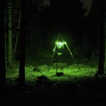 Foto: Mattias Lilja