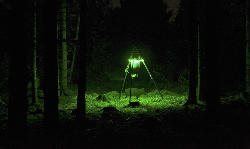 Foto: Mattias Lilja