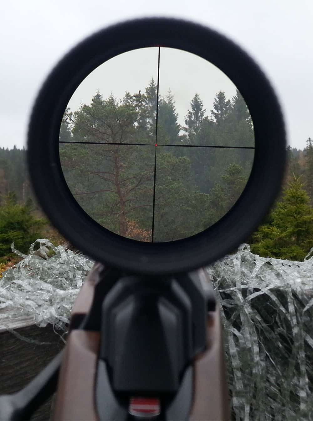 Foto: Jonas Hellström