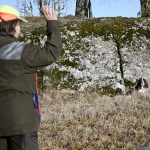 Det är bra att kunna sätta hunden under spårningen. Helst ska det göras tyst och fint, så att inte hela skogen hör. Foto: Malou Kjellsson