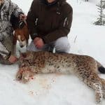 21-årige Viktor Åkerlund är en erfaren jägare, men det var på hans första lodjursjakt han lyckades fälla en 31 kilo tung hane. Foto: Privat