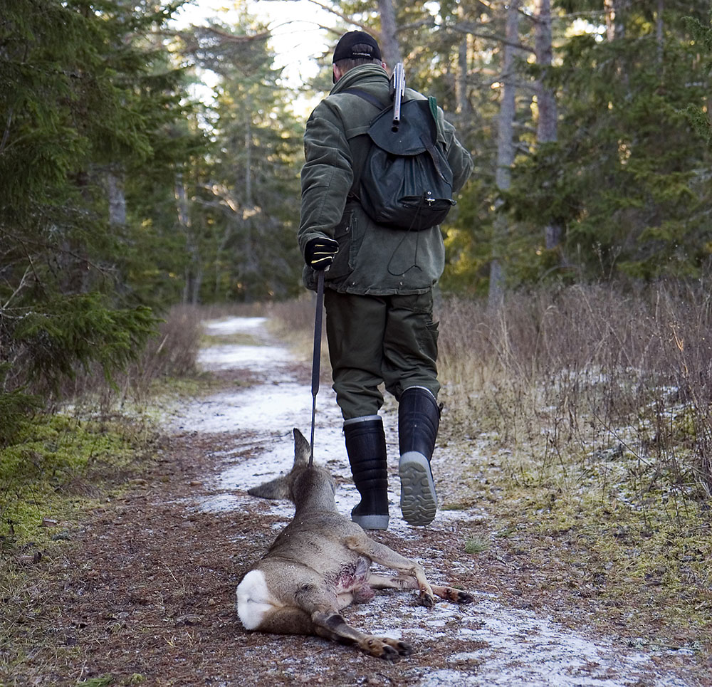 Foto: Olle Olsson