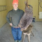 Måns Lilliehök lyckades fälla en bäver på 25,5 kilo på Krontorp utanför Kristinehamn. Foto:Privat