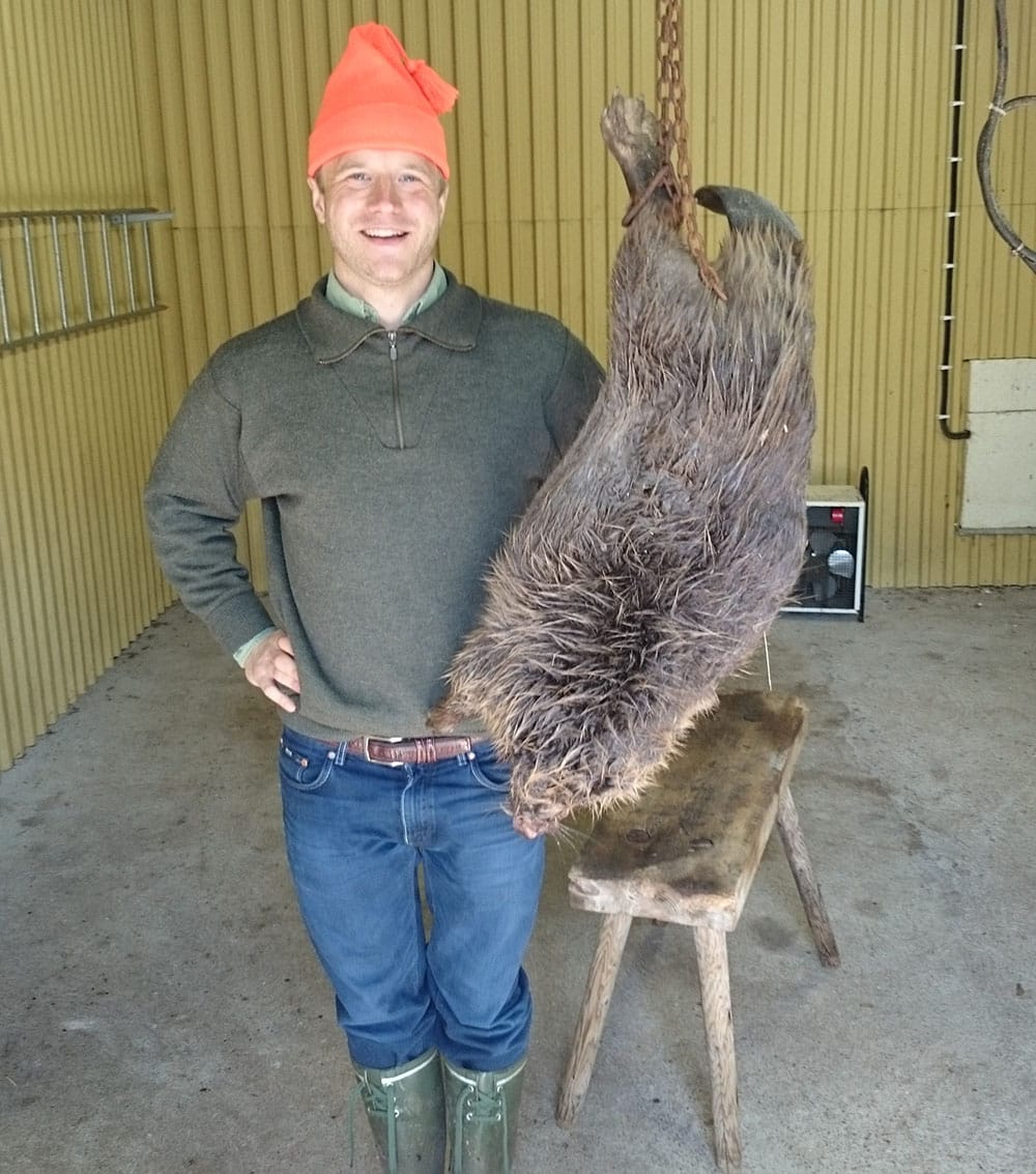 Måns Lilliehök lyckades fälla en bäver på 25,5 kilo på Krontorp utanför Kristinehamn. Foto:Privat
