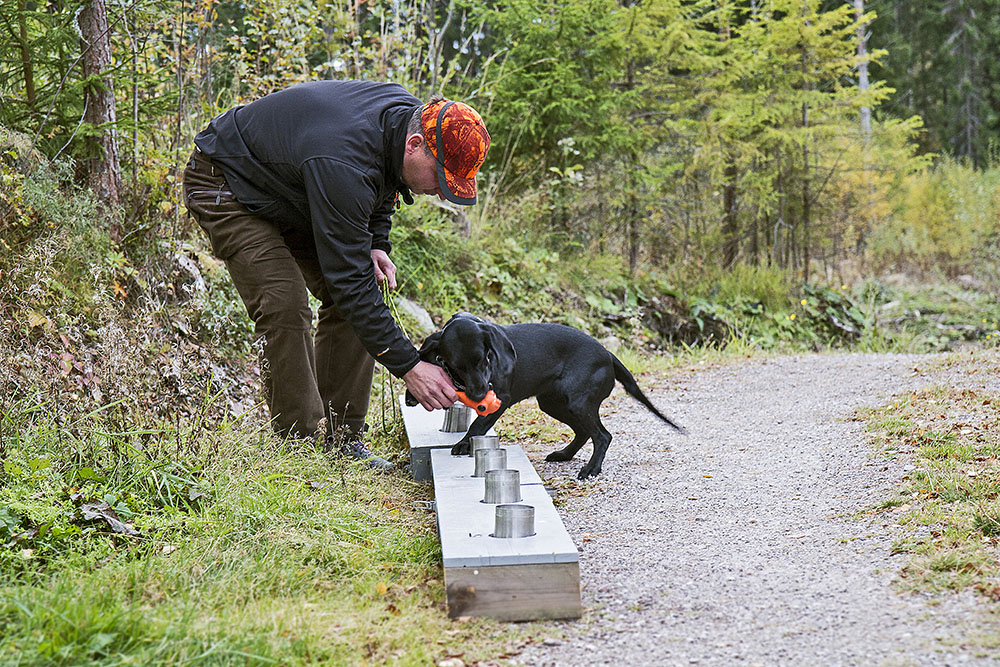 När hunden markerar rätt burk belönas den. I det här fallet med en pipleksak. Använd helst inte godis som belöning eftersom risken då finns att hunden intresserar sig mer för dina fickor än för den uppgift du vill att den ska lösa. Foto: Olle Olsson