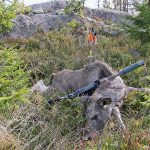 Foto: Mattias Lilja