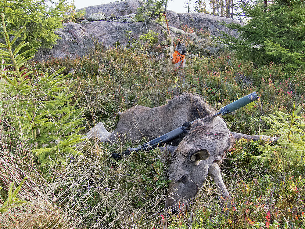 Foto: Mattias Lilja
