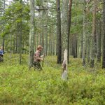 Skribenten är skarpt kritisk mot Bergvik Skogs agerande. Foto: Martin Källberg