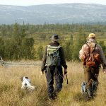 Foto: Jan Henricson