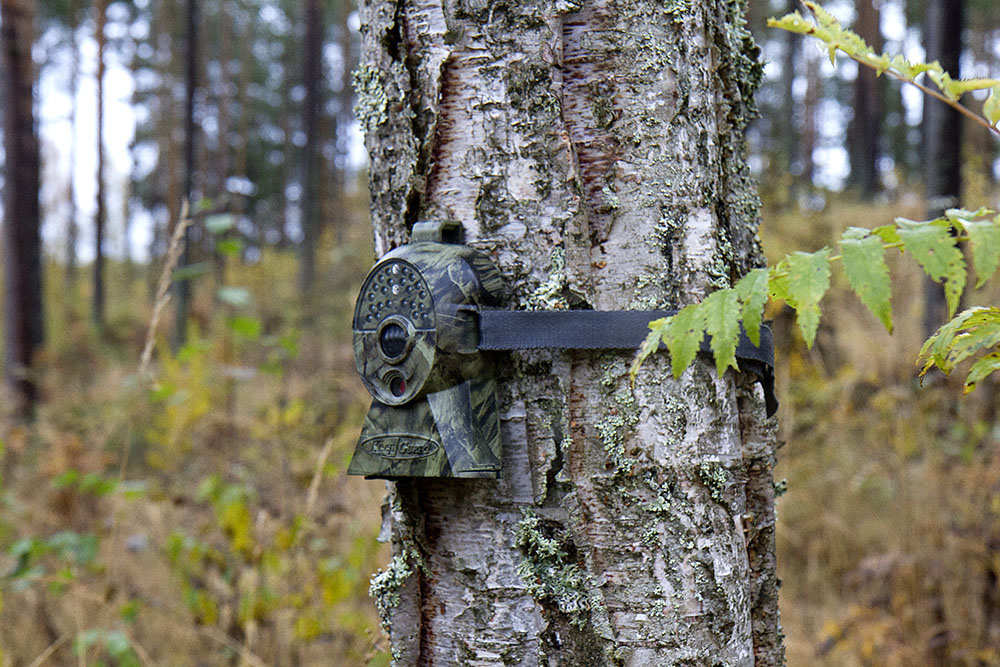 Foto: Olle Olsson
