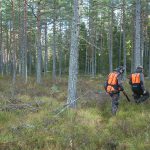 Jaktlig gemenskap och kamratskap hotas av Jägarnas Riksförbunds förslag att upplösa landets viltvårdsområden, skriver ordförandena i Jägareförbundets tre nordligaste länsföreningar. Foto: Jan Henricson