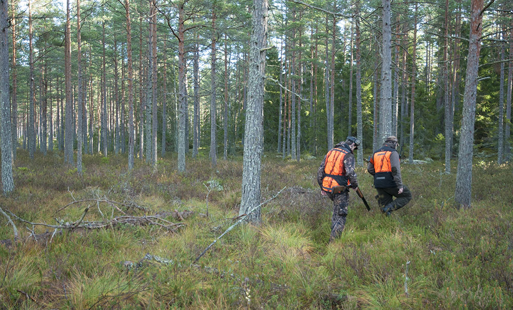 Jaktlig gemenskap och kamratskap hotas av Jägarnas Riksförbunds förslag att upplösa landets viltvårdsområden, skriver ordförandena i Jägareförbundets tre nordligaste länsföreningar. Foto: Jan Henricson