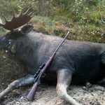 Första dagen på älgpass gav jackpot. Foto: Privat