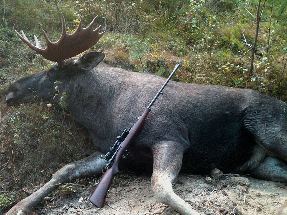 Första dagen på älgpass gav jackpot. Foto: Privat