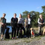 I nybörjarklass fick följande hundar första pris: Vindögats Solstråle, golden med Kicki Lilliehöök, Streamlight Cayos Mynta, labrador med Anita Tordenlid, Ringlets Hazel, labrador med Cecilia Ludvigsson, Sherlocks Della Street, flatcoated med Gunilla Lefwerth.