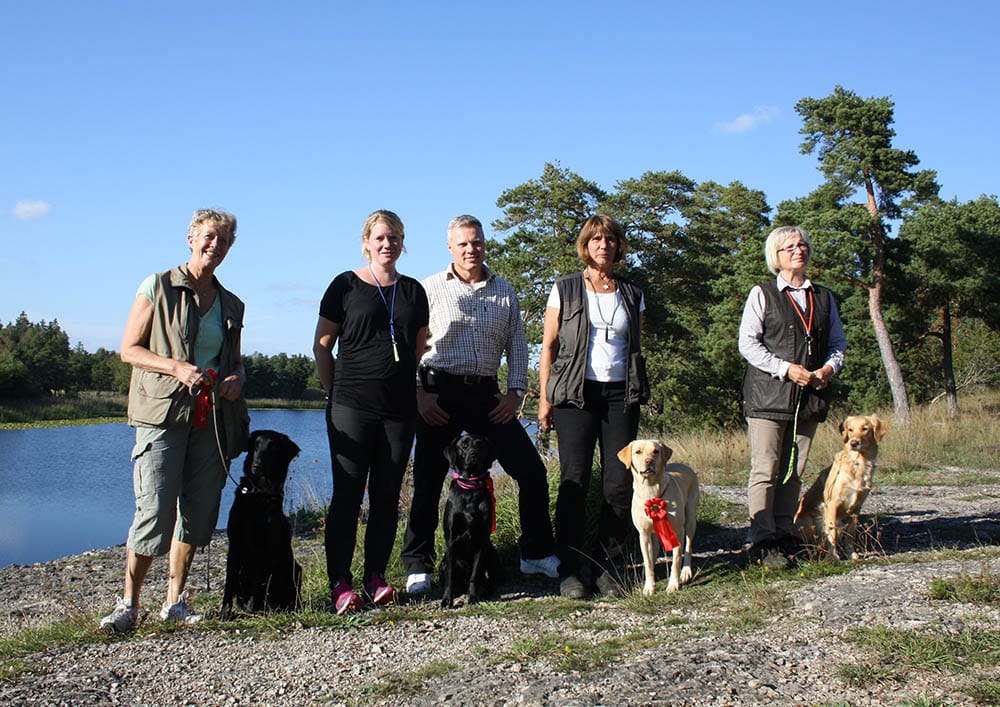 I nybörjarklass fick följande hundar första pris: Vindögats Solstråle, golden med Kicki Lilliehöök, Streamlight Cayos Mynta, labrador med Anita Tordenlid, Ringlets Hazel, labrador med Cecilia Ludvigsson, Sherlocks Della Street, flatcoated med Gunilla Lefwerth.