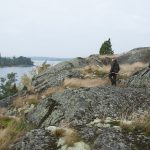 Jakten är en livsstil för många på landsbygden. Vad händer med den, nu när Miljöpartiet tagit plats i regeringen, frågar sig skribenten. Foto: Jan Henricson