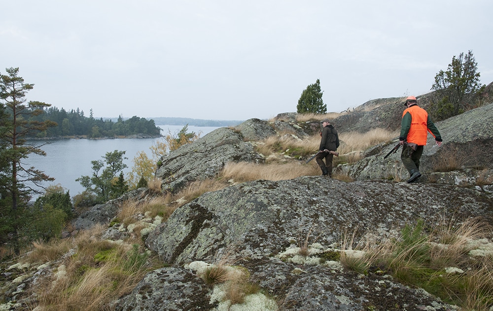 Jakten är en livsstil för många på landsbygden. Vad händer med den, nu när Miljöpartiet tagit plats i regeringen, frågar sig skribenten. Foto: Jan Henricson